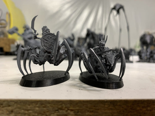 Australian spider calvary