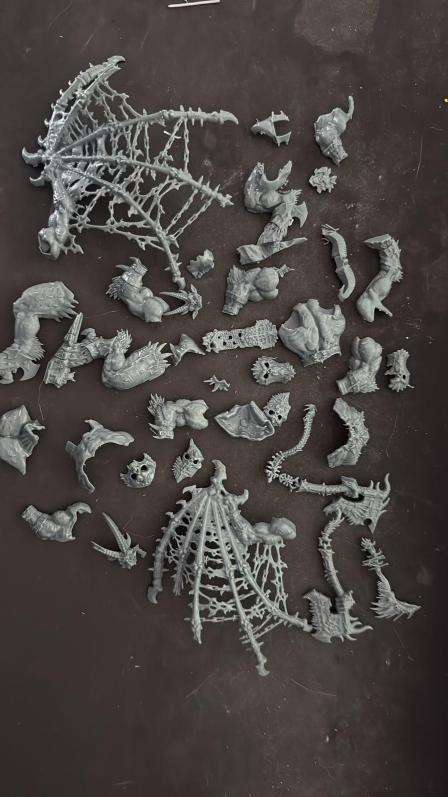 Skarbrand Scan
