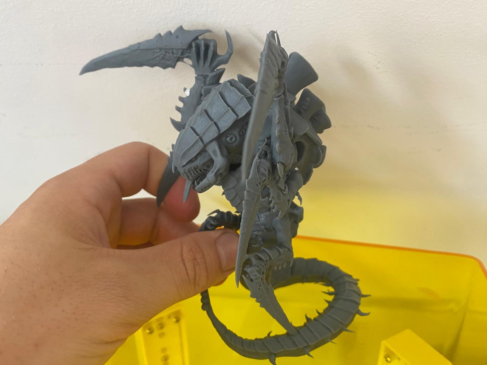 Trygon